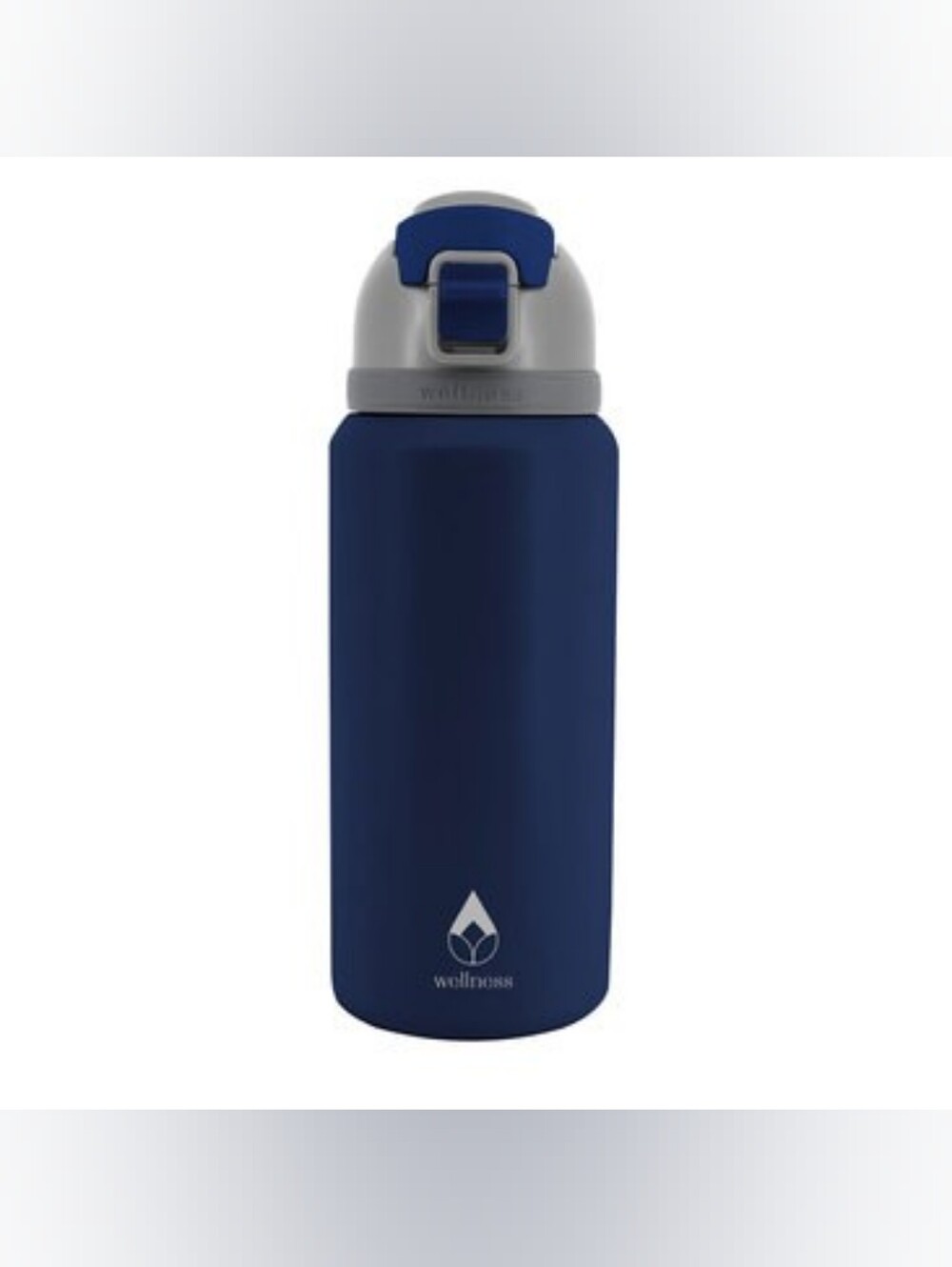 Wellness 32 oz. Stainless Steel Revive Insulated Water Bottle with Handle *NEW*